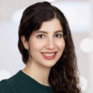 N. (Niksa) Mohammadi Bagheri MSc