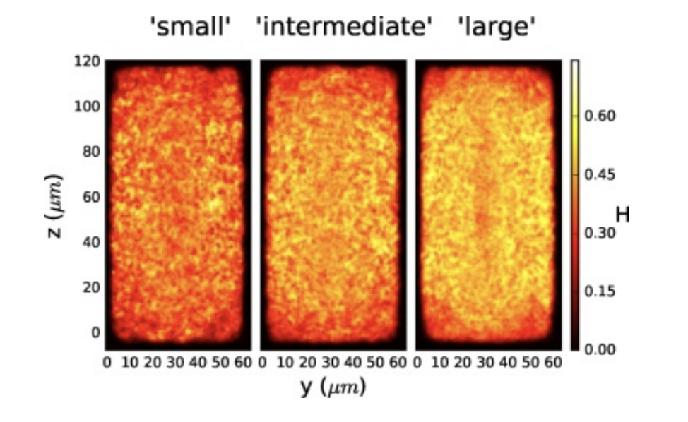 Load balancing of parallel cell-based blood flow simulations