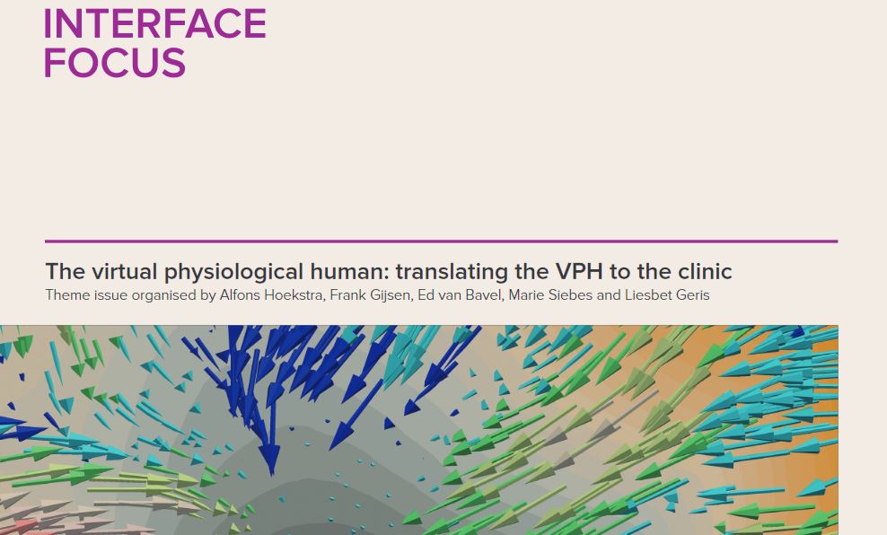 The Virtual Physiological Human – a ‘digital twin’ for patients