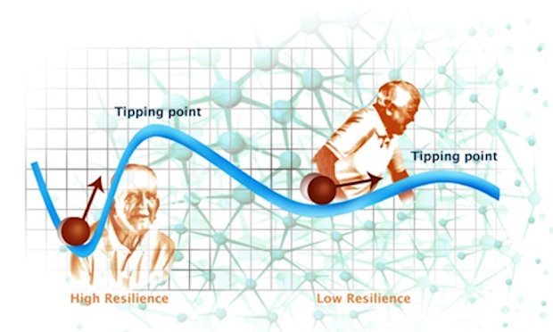 Resilience in aging through complexity and creative industry
